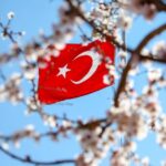 Características del turco – Traducción Madrid